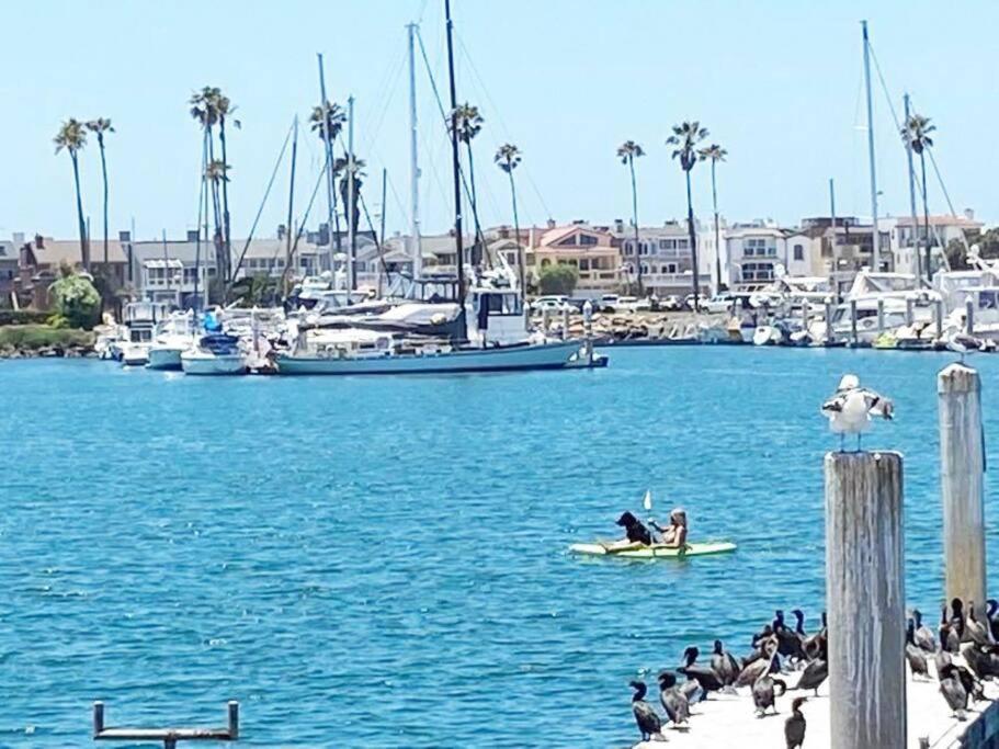 Gateway To Oxnard Beach Eksteriør billede